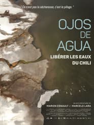 Ojos de Agua: Freeing the Waters of Chile